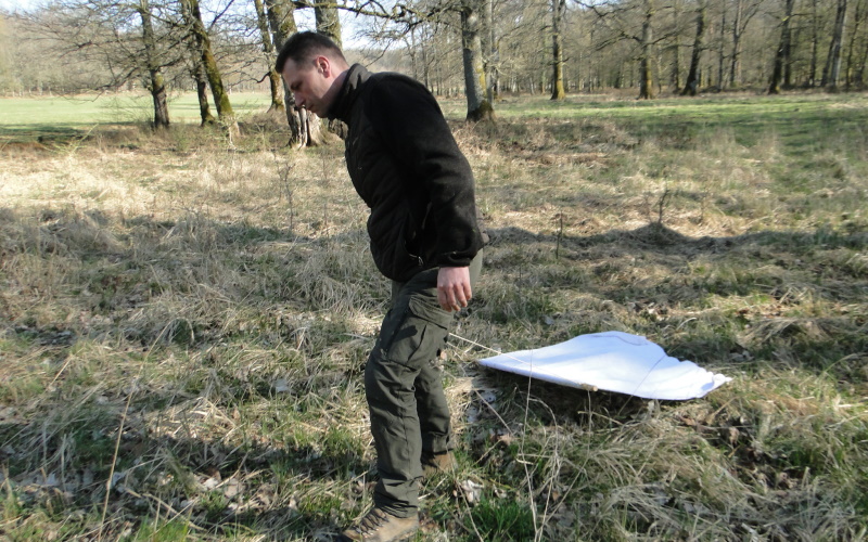 David Piérard (FFS), en plein échantillonnage de tiques dans le Parc de Belval (photo ML Poulle)