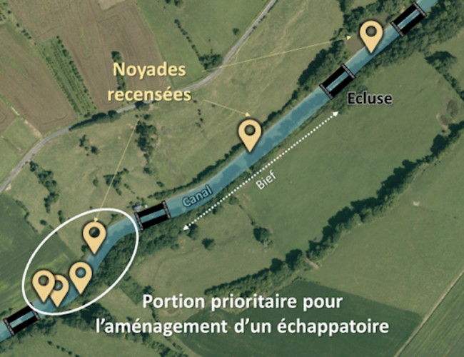 Recensement, grâce au site web participatif du Programme KISNOIE, des zones de noyade d’animaux localisées par les promeneurs sur les berges du canal